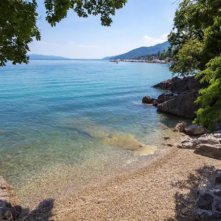 Dream By The Sea 오파티아